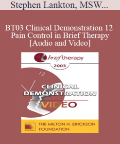 [Audio and Video] BT03 Clinical Demonstration 12 - Pain Control in Brief Therapy - Stephen Lankton