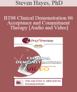 [Audio and Video] BT08 Clinical Demonstration 06 - Acceptance and Commitment Therapy - Steven Hayes