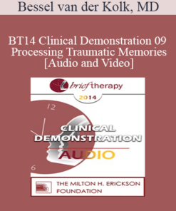 BT14 Clinical Demonstration 09 - Processing Traumatic Memories - Bessel van der Kolk