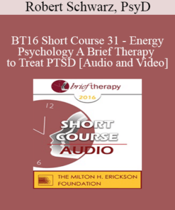 BT16 Short Course 31 - Energy Psychology A Brief Therapy to Treat PTSD - Robert Schwarz