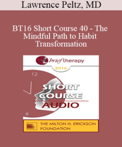 BT16 Short Course 40 - The Mindful Path to Habit Transformation: A Four Quadrant Model - Lawrence Peltz