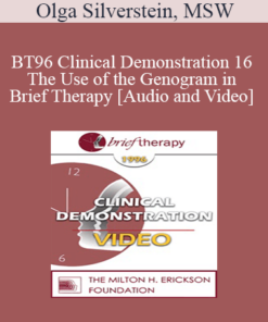 BT96 Clinical Demonstration 16 - The Use of the Genogram in Brief Therapy - Olga Silverstein