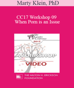 CC17 Workshop 09 - When Porn is an Issue: Couples Counseling & Psychotherapy that Works - Marty Klein