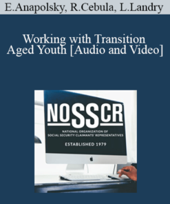 Ellyce Anapolsky, Ray Cebula, Linda Landry - Working with Transition Aged Youth