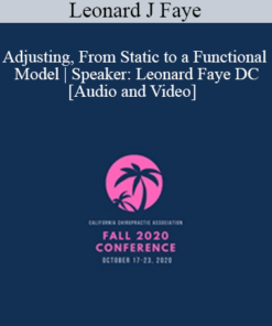 Leonard J Faye - Adjusting, From Static to a Functional Model | Speaker: Leonard Faye DC