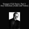 The Professional Education Group - Younger CLE Series, Part 3: Jury Selection