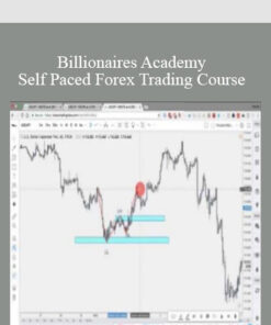 Billionaires Academy – Self Paced Forex Trading Course