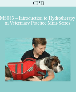 CPD - MS083 – Introduction to Hydrotherapy in Veterinary Practice Mini-Series