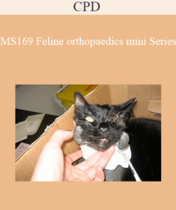CPD - MS169 Feline Orthopaedics Mini Series