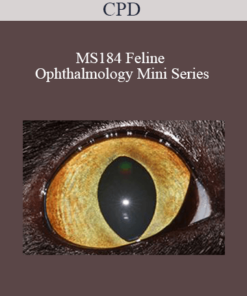 CPD - MS184 Feline Ophthalmology Mini Series