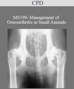 CPD - MS199- Management of Osteoarthritis in Small Animals