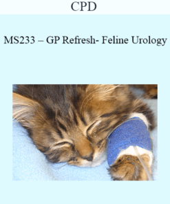 CPD - MS233 – GP Refresh- Feline Urology