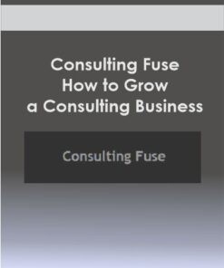 Consulting Fuse – How to Grow a Consulting Business