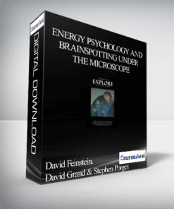 Energy Psychology and Brainspotting under the Microscope: The New Era of Brain-Based PsychEverything Elseapy - David Feinstein . David Grand & Stephen Porges