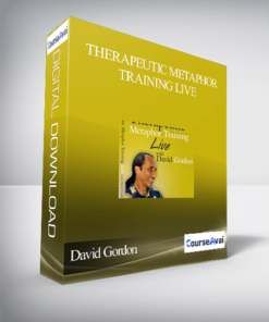 David Gordon – Therapeutic Metaphor Training LIVE