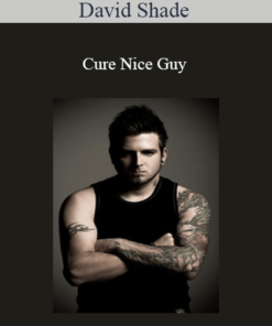 David Shade - Cure Nice Guy