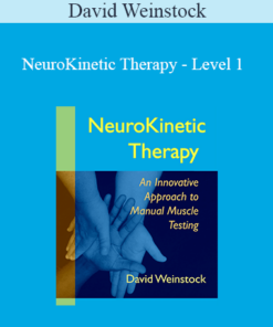David Weinstock - NeuroKinetic Therapy - Level 1