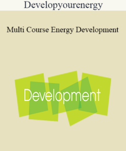 Developyourenergy - Multi Course Energy Development
