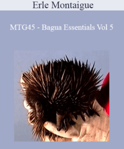 Erle Montaigue - MTG45 - Bagua Essentials Vol 5
