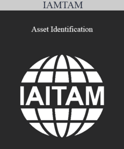IAMTAM - Asset Identification