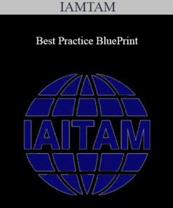 IAMTAM - Best Practice BluePrint