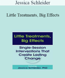 Jessica Schleider - Little Treatments
