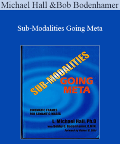 Michael Hall and Bob Bodenhamer - Sub-Modalities Going Meta