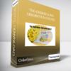 Orderflows – The Orderflows Absorption Course
