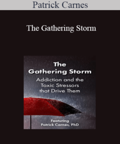 Patrick Carnes - The Gathering Storm: Addiction and the Toxic Stressors that Drive Them