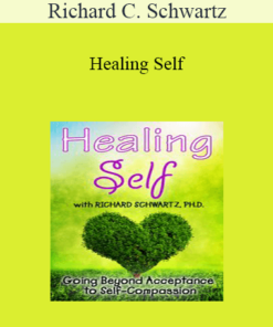 Richard C. Schwartz - Healing Self: Going Beyond Acceptance to Self-Compassion