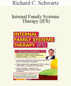 Richard C. Schwartz - Internal Family Systems Therapy (IFS): A Revolutionary & Transformative Treatment of PTSD