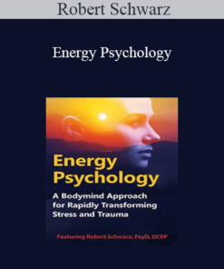 Robert Schwarz - Energy Psychology: A Bodymind Approach for Rapidly Transforming Stress and Trauma