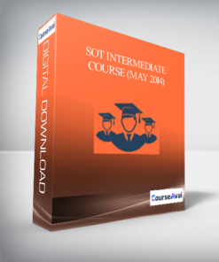 SOT Intermediate Course (May 2014)