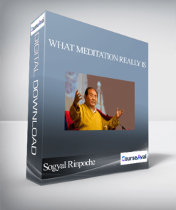 Sogyal Rinpoche - What Meditation Really Is