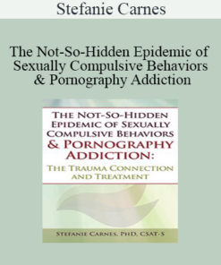 Stefanie Carnes - The Not-So-Hidden Epidemic of Sexually Compulsive Behaviors & Pornography Addiction: The Trauma Connection and Treatment