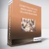 Storytelling for Persuasion and Transformation