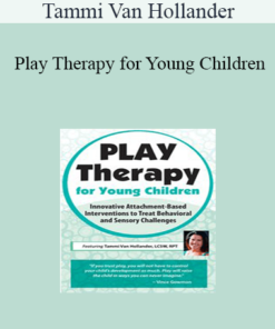 Tammi Van Hollander - Play Therapy for Young Children: Innovative Attachment-Based Interventions to Treat Behavioral and Sensory Challenges