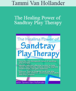 Tammi Van Hollander - The Healing Power of Sandtray Play Therapy