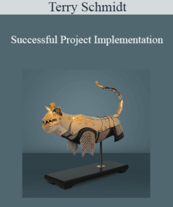 Terry Schmidt - Successful Project Implementation