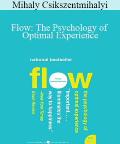 Mihaly Csikszentmihalyi – Flow: The Psychology of Optimal Experience