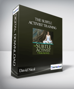 The Subtle Activist Training With David Nicol