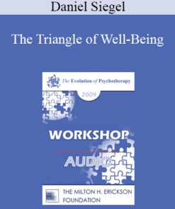 [Audio] EP09 Workshop 38 - The Triangle of Well-Being - Daniel Siegel