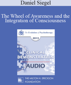 [Audio] EP13 Clinical Demonstration 02 - The Wheel of Awareness and the Integration of Consciousness (Live) - Daniel Siegel