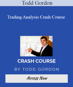 Todd Gordon - Trading Analysis Crash Course 2021
