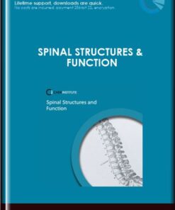 CHEK Institute  -  Spinal Structures & Function