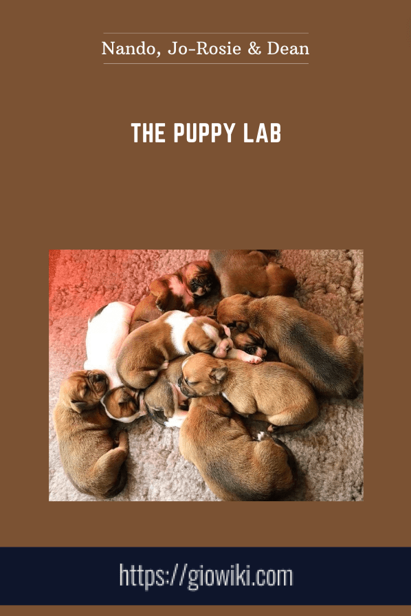 The Puppy Lab - Nando