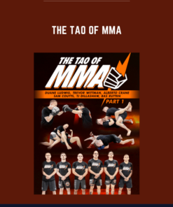 The Tao Of MMA  -  Duane Ludwig