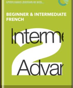 The Damon D French Course  -  Beginner & Intermediate French