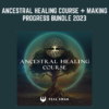 Teal Swan -  Ancestral Healing Course + Making Progress Bundle 2023