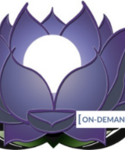 On-Demand Meditation Level 2 Course - Gregor Maehle